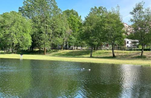 PLACIDO RIVER HOUSE APARTAMENTO - Foto 8