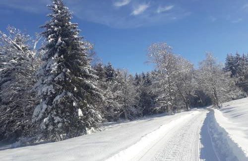Forsthauswohnung im Schwarzwald - Foto 32
