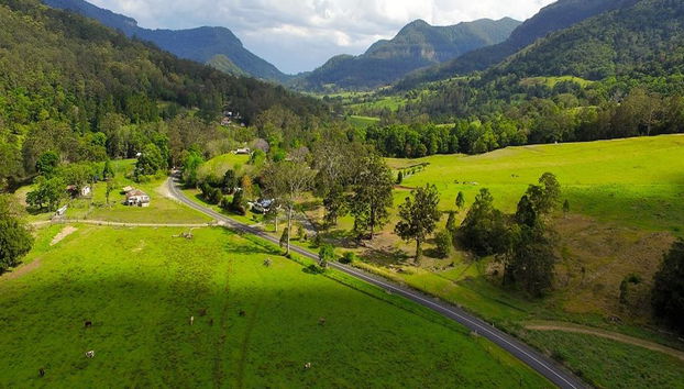 Natursteinbrücke und Springbrook Tour - Foto 4