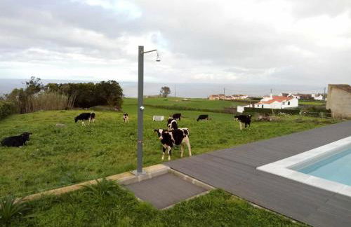 Casas do Forneiro A Casa - Para 2 Pessoas - Photo 68