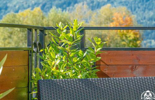 Agroturystyka Corno Owca - Foto 71