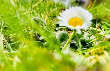 Happy Place Ferienwohnung mit Moselpanoramablick, Dachterrasse und Sauna - Foto 16