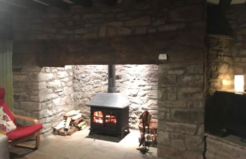 Llwyn Llwyd Cottage - Photo 24