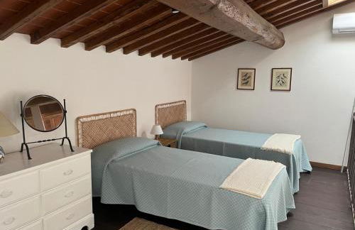 Podere Cedrola - Foto 74