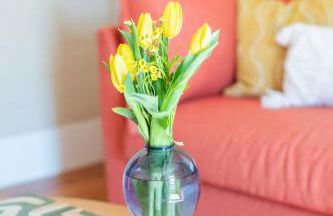 Eclectic 1906 Farmhouse 2 Acres Hammocks & Charm - Foto 11