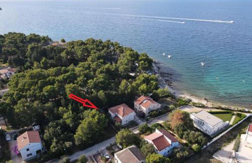 Apartments by the sea Susica, Ugljan - 21389 - Photo 1