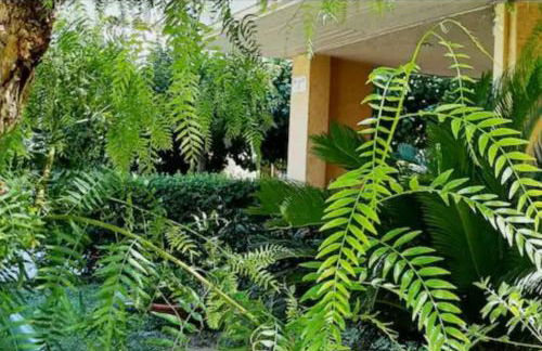 Candy Studio Marousi - Foto 26