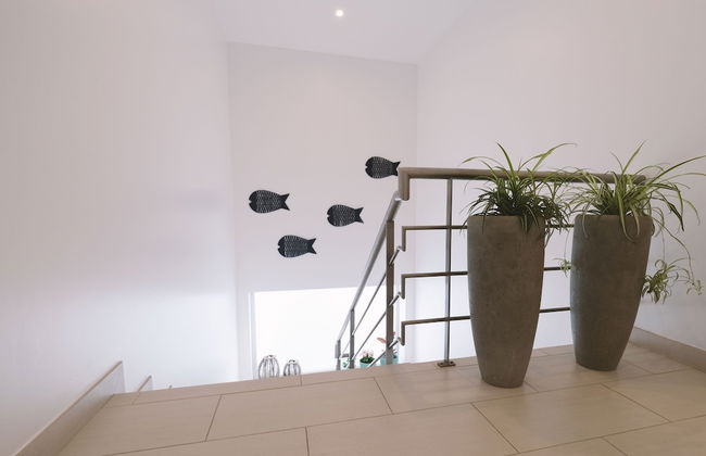 Sao Vicente Lodge - Foto 37