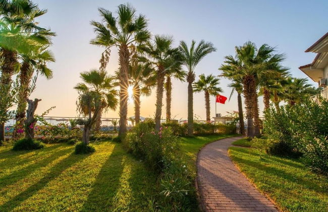 Villa Doga - Photo 6