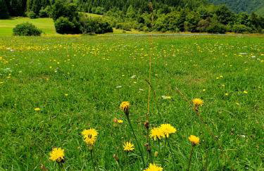 Kuća za odmor - Agatha - Bjelolasica - Foto 48