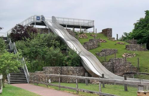 Wald und Wohlsein - Foto 54