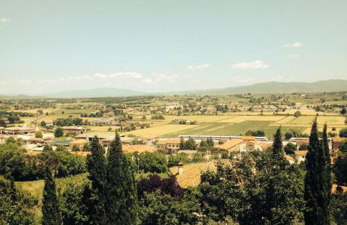 Tre Girasoli - Foto 25