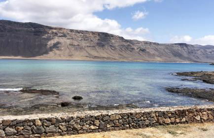 Flor de Cactus, La Graciosa - Foto 34