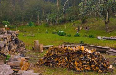 Chácara em Nova Friburgo (espaço inteiro) - Foto 20