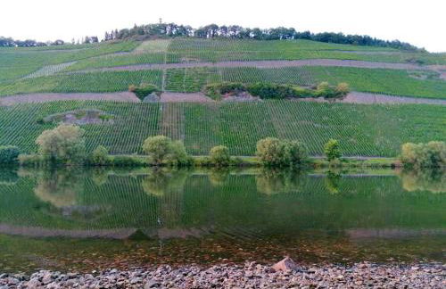 Sonnenlay Lounge - Studio & Ferienhaus - Foto 57