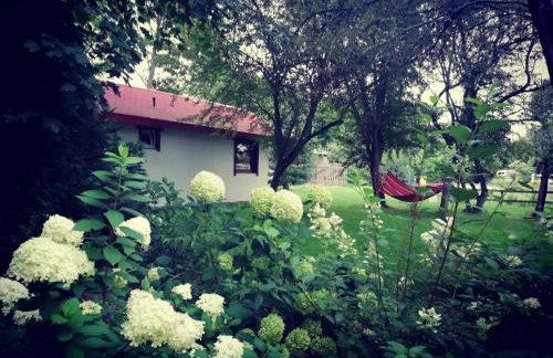 Babie Lato - Foto 29