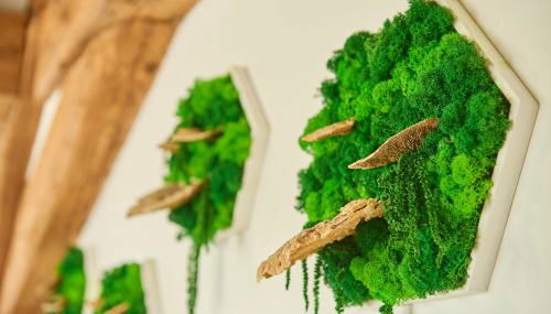 WOOD WORLD Luxury - Massage - Bergblick - Tranpolin- Parken - Foto 3, Shopping Area