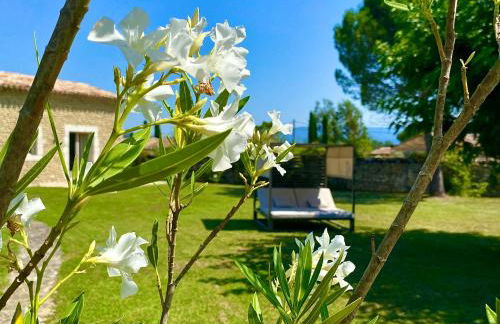 Mas Oréa Sous la glycine - Photo 25