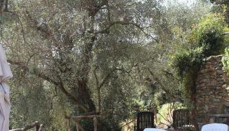 Il Cavedano Innamorato - Foto 4