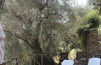 Il Cavedano Innamorato - Foto 4