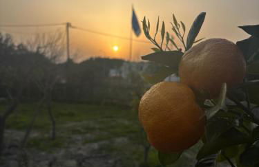 V&G Cozy Home, Pilona Village - Foto 33