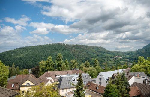 Haus Burgblick - Foto 28