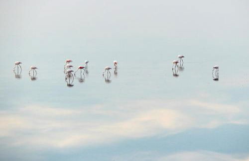 Alloggio turistico a Ravenna - Foto 36