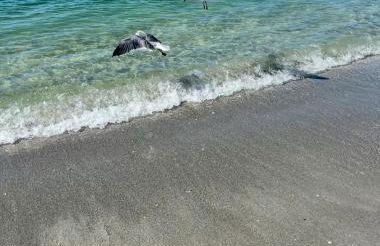 The Annabelle-- Bright 4 Bedroom Home, Heated Pool - Foto 44