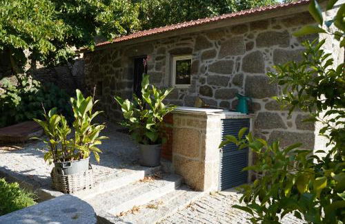 Linden Studio at Terrus Winery - Foto 1