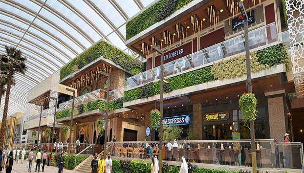 Experiencia de compras - Tour privado - Foto 3