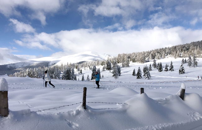 Ferienwohnung Gurkhof 1 - Nockhaus - Photo 16