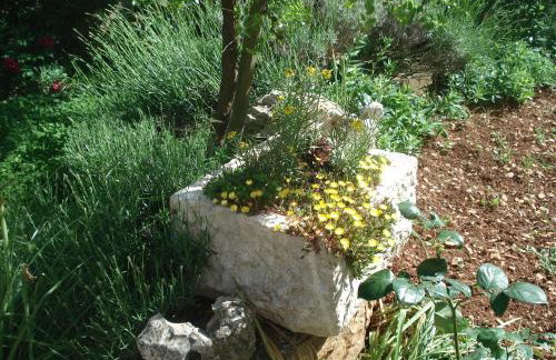 Apartmani Tijano - Photo 23