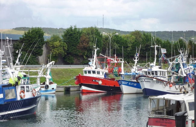 Townhouse Near Bay of Somme and Norman Beaches - Foto 25