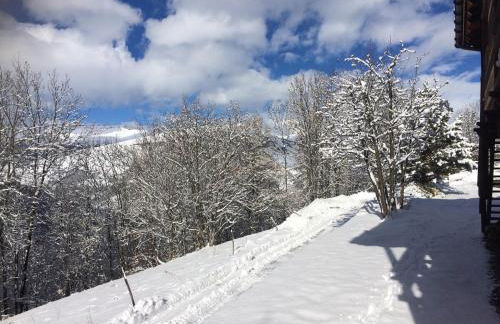 Appartement en Peisey-Nancroix proche de ski resort - Photo 22