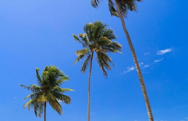 Bahay Tatu Home Concept - Foto 71