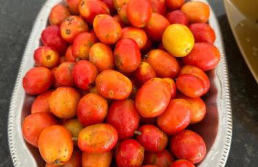 Casa temporada em Arembepe - Foto 33