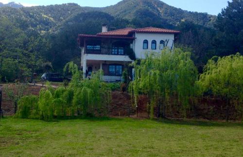 Koti Mountain House - Foto 1