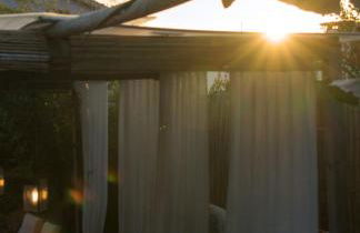 João Jungle - Foto 49