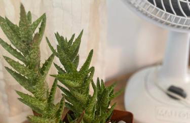 Apartamento Completo 2km do centro 301 - Foto 47