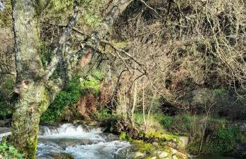 Fragas do Lobo - Casa da Azenha - Foto 3