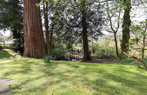 Puddleduck - Foto 25