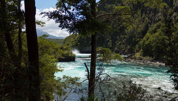 Escursione alle Cascate di Petrohué e al vulcano Osorno - Foto 4