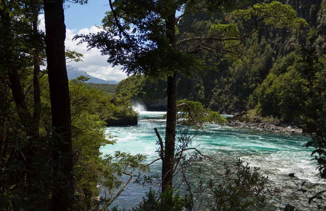 Petrohue Waterfalls & Osorno Volcano Day Trip - Photo 4