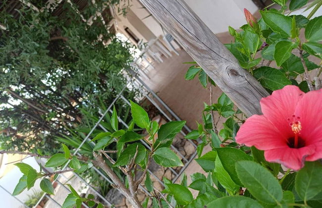 Masseria Belvedere - Photo 38