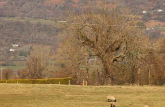 Cowshed in the Black Mountains - Foto 27