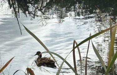 Comfortable 4BR stay in Bourne, Free Parking, Sleeps 7, Families & Contractors Welcome - Foto 42