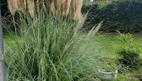 Moderne Wohnug mit Terrasse - Foto 2