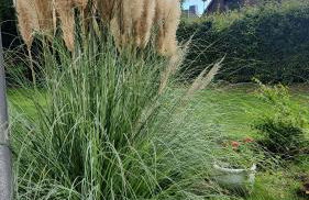 Moderne Wohnug mit Terrasse - Foto 2