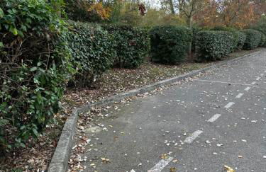 Charmant Studio proche Lac et Forêt - Photo 17