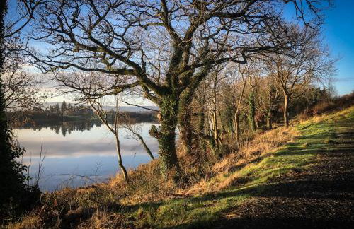 Shamrock Cottage - Foto 59